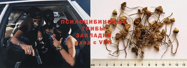 мяу мяу мука Бугульма