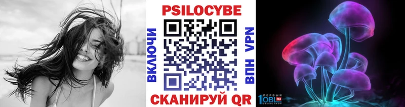 Псилоцибиновые грибы GOLDEN TEACHER  Купить где  Удачный 