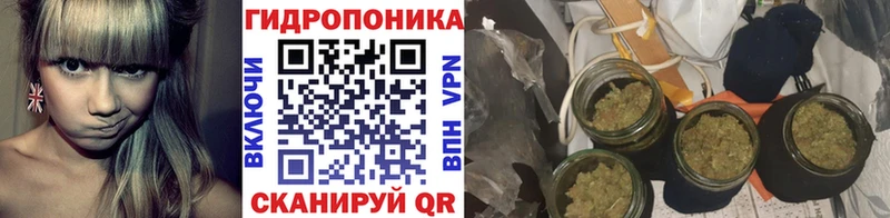Купить где  Удачный  Каннабис White Widow 
